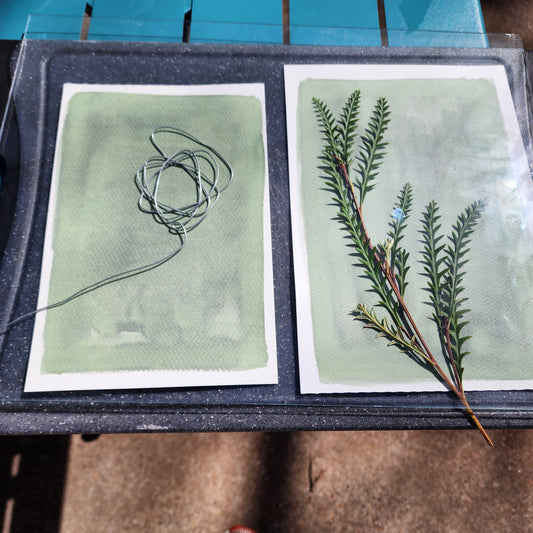 Cyanotype - Nov 9, 2025 2:00pm - 4:00pm