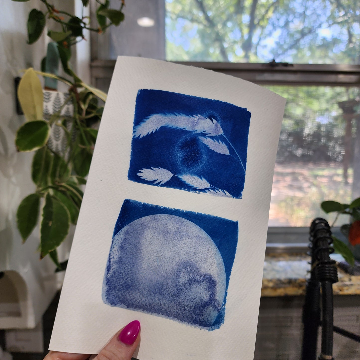 Cyanotype - Nov 9, 2025 2:00pm - 4:00pm