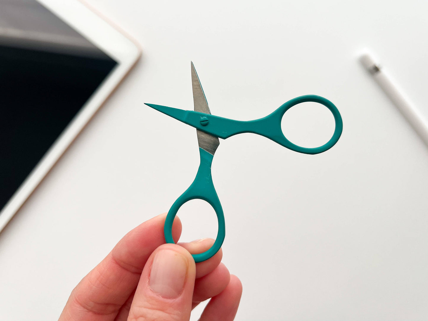 Small needlecraft scissors
