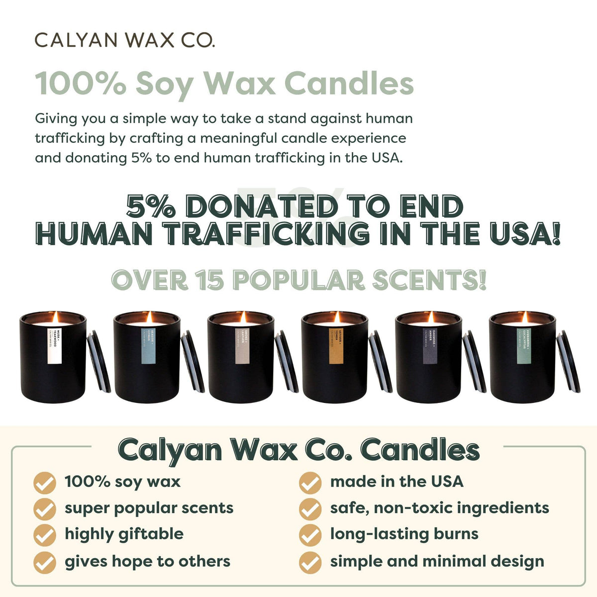 Aspen + Fog - Matte Black Tumbler Soy Candle