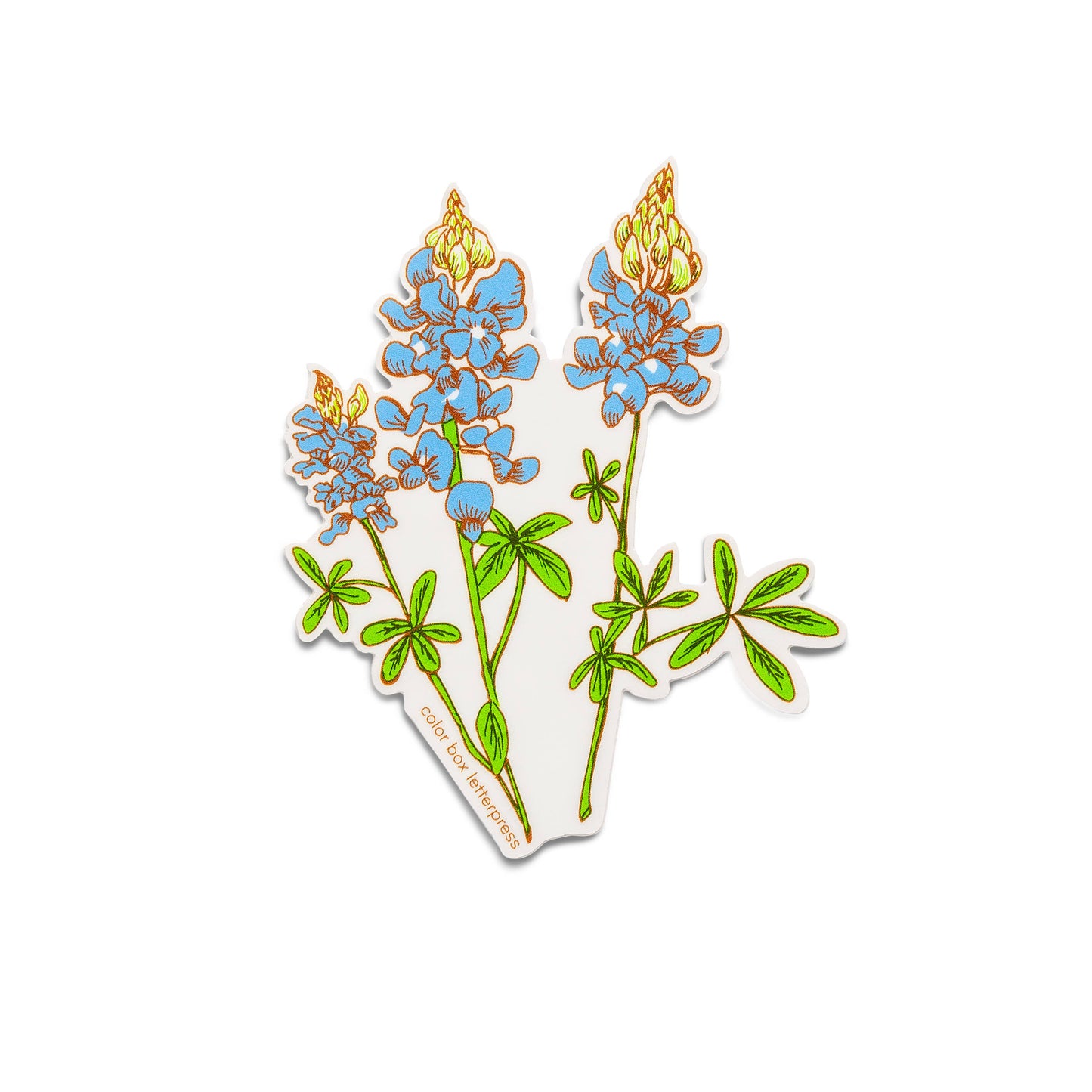 Bluebonnet | Sticker