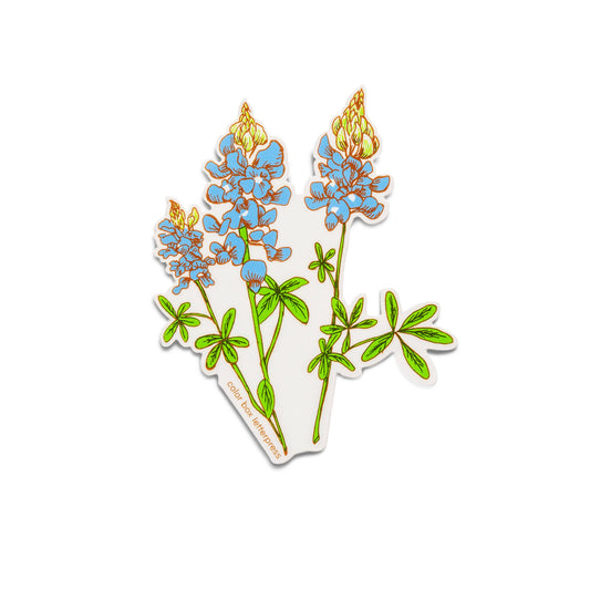 Bluebonnet | Sticker