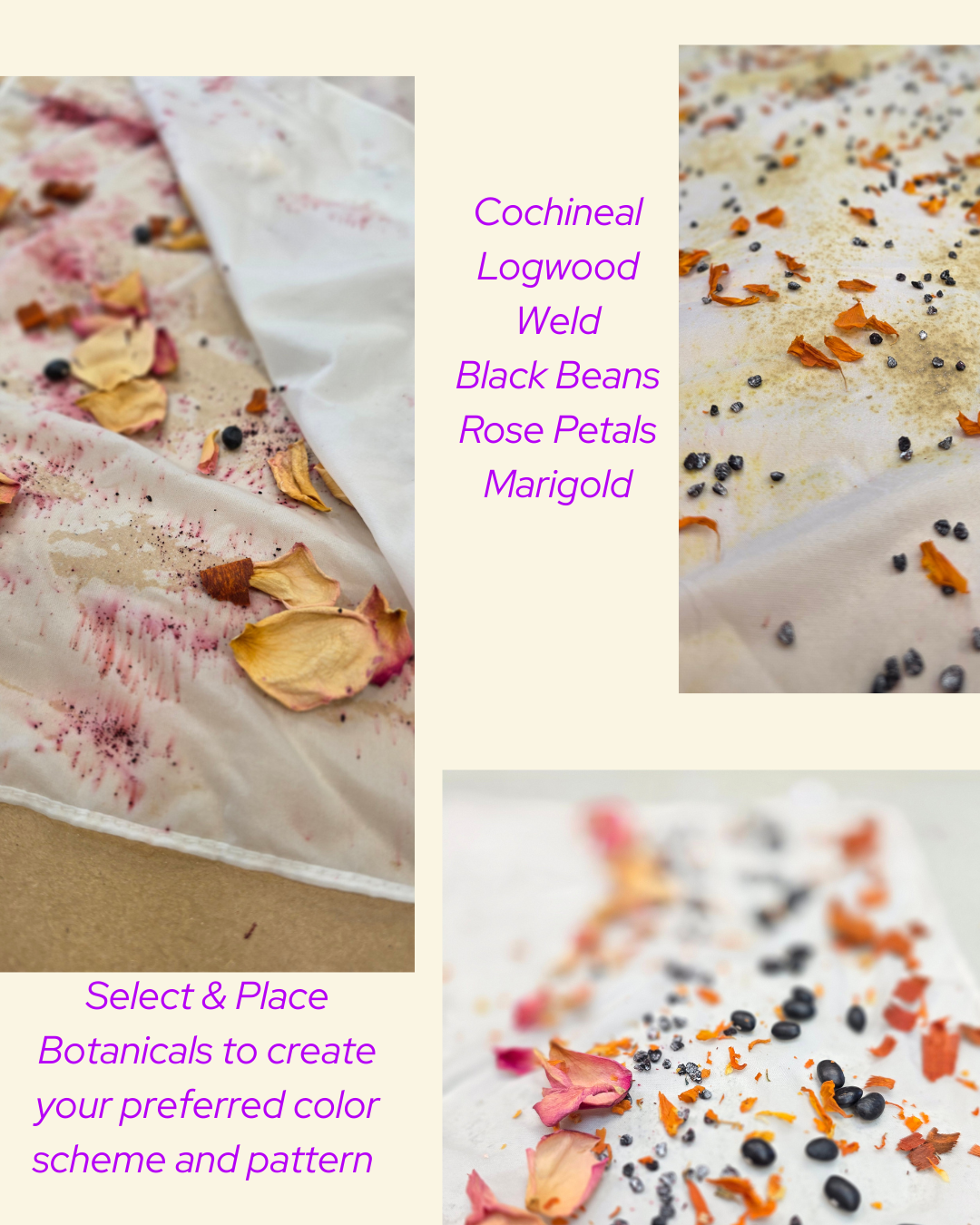 Design your own Silk Scarf (or pillowcase) using Natural Plant Dyes