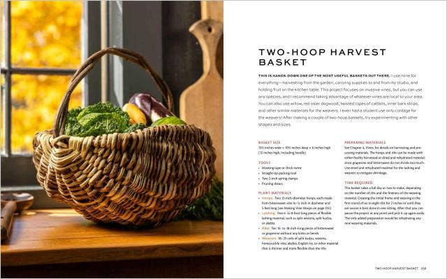 Weaving Wild Baskets